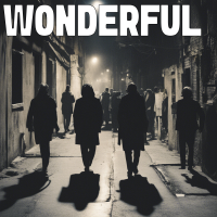 Wonderful - Full Cover cover